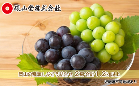 ぶどう 2024年 先行予約 種無し ぶどう 詰合せ 2房 合計1.2kg以上 マスカット ブドウ 葡萄  岡山県産 国産 フルーツ 果物 ギフト 環山堂