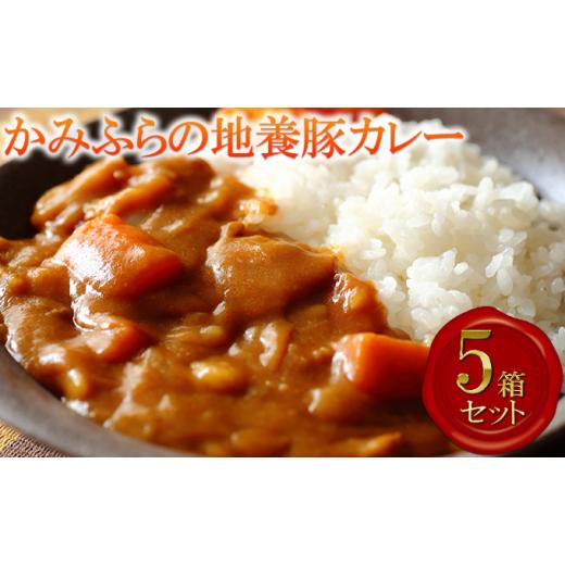 ふるさと納税 北海道 上富良野町 かみふらの地養豚カレー5箱セット