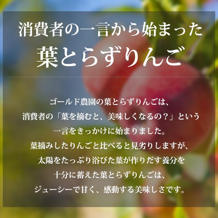 りんご 青森県産 サンふじ 訳あり 約2kg 5〜9玉 ファーム