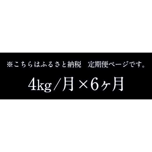 ふるさと納税 福岡県 小竹町 令和5年産 小さな竹美人 7分づき 米 4kg(2kg×2袋) 株式会社コモリファーム《お申込み月の翌月…