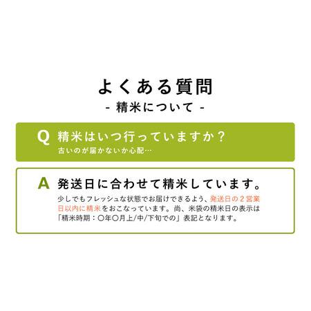 ふるさと納税 新米 令和5年産 森のくまさん 玄米30kg（30kg×1袋） 熊本県和水町