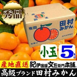 ふるさと納税 V7063_田村みかん 5kg 秀品 和歌山県湯浅町