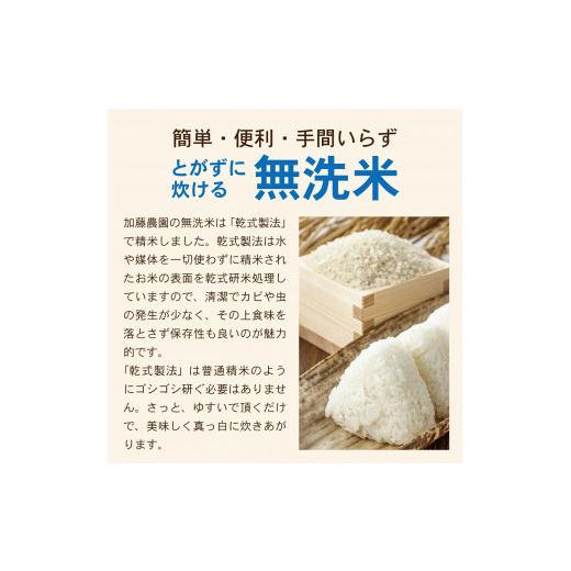 ふるさと納税 山形県 酒田市 SE0192　令和5年産 無洗米 雪若丸　5kg×6回(計30kg)「農家直送」 KA