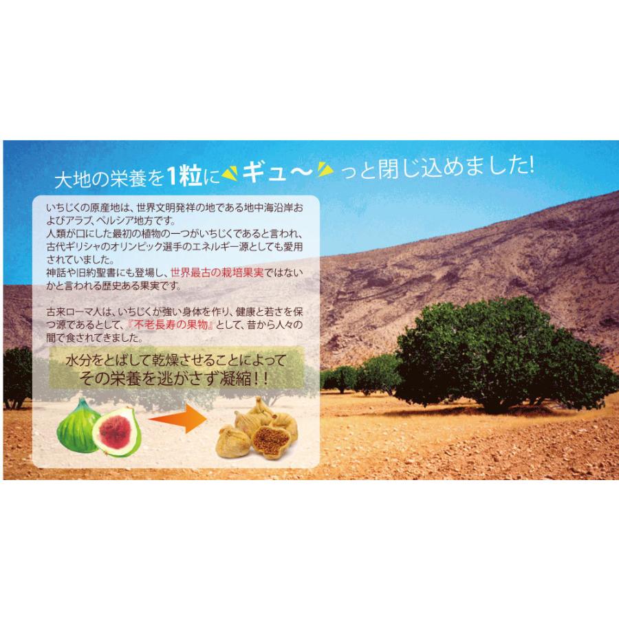 ドライいちじく　初回限定お試し 無添加・農薬不使用　イラン産イチジク　100g ×2個セット