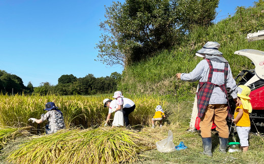 《玄米》淡路島の棚田米 ５kg