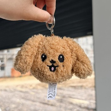 🧡精選免運🧡李碩珉屬性棉花娃娃doa小狗 DK動物體娃娃玩偶鑰匙扣miniteen禮物