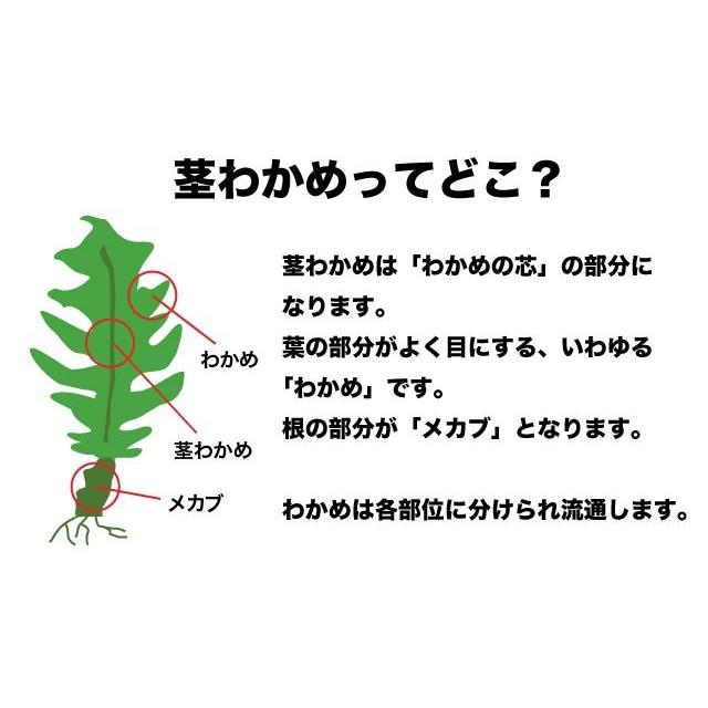 茎わかめ 国産 600g 三陸産 塩蔵茎わかめ ポイント消化 コリコリ・サクサク 送料無料