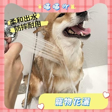 狗狗用品 寵物洗澡 寵物蓮蓬頭 寵物洗澡專用花灑 摩搓澡清潔用品 寵物蓮蓬頭 寵物花灑噴頭 寵物花灑