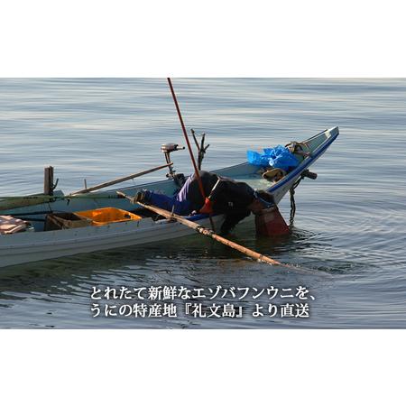 ふるさと納税 北海道 礼文島産 採れたて キタムラサキウニ 塩水パック 100g×1 生うに 生ウニ  塩水うに 北海道礼文町