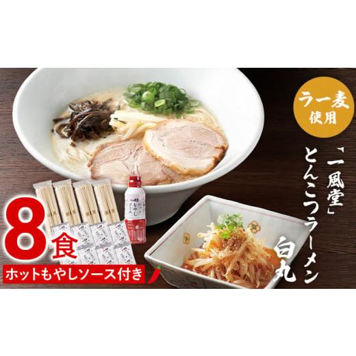 ふるさと納税 福岡県 田川市 ラー麦使用「一風堂」とんこつラーメン 白丸(8食)