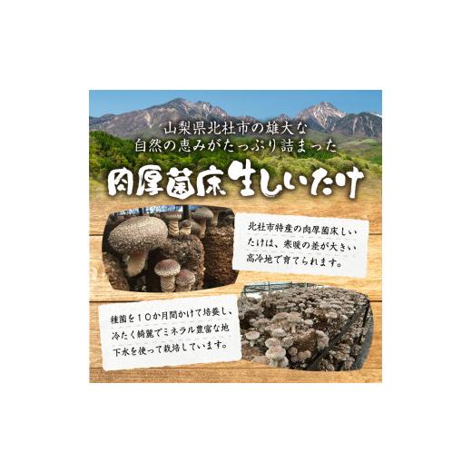 ふるさと納税 山梨県 北杜市 贈答用 生しいたけ(1kg)