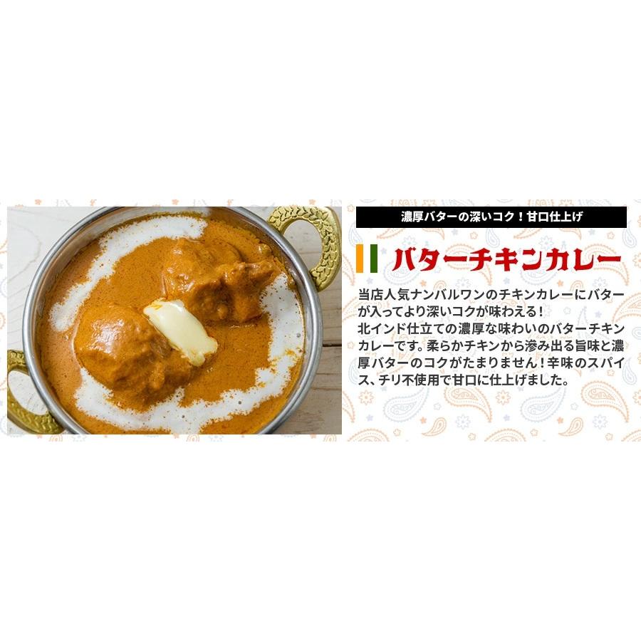 ナンカレーセットB 送料無料 インドカレー インド料理 セット商品