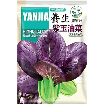 【原裝紫玉油菜種子】 台灣現貨 紫色油菜種籽 家庭蔬菜 盆栽菜園 觀賞食用 四季可播 生長期短 易種植 新手友善 耐熱耐