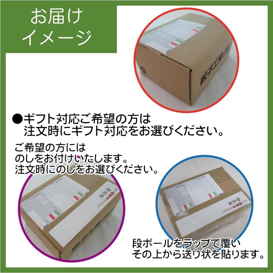  紅ずわい蟹三昧セット ／ 送料無料（沖縄別途送料） 鳥取県堺港産紅ずわい蟹使用 蟹が満喫できるセットです。 餃子工房 ロン みまつ食品