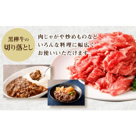 ふるさと納税 くまもと黒毛和牛 杉本本店 黒樺牛 A4〜A5等級 すき焼き用スライス盛合わせセット 総重量650g すき焼きのタレ1本付き 熊本県菊池市