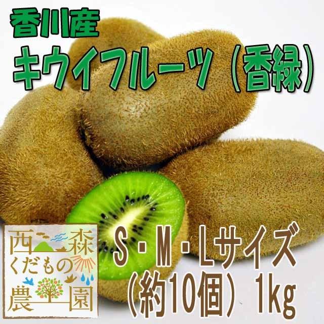 香川産 キウイフルーツ（香緑） 1ｋｇ［2つ以上で送料無料♪］