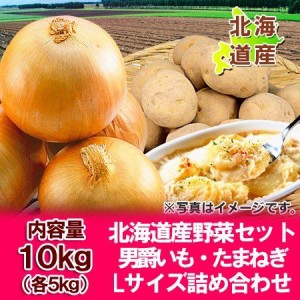 野菜セット 北海道産 じゃがいも 男爵いも・玉ねぎ 10kg (各5kg) Lサイズ 野菜 セット 詰め合わせ だんしゃくいも・たまねぎ