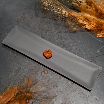 【3,co】海洋長方盤(小) - 灰