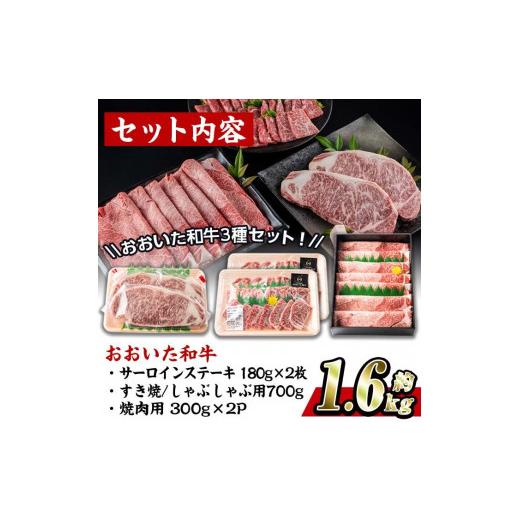 ふるさと納税 大分県 佐伯市 おおいた 和牛 3種 セット (合計1.66kg・サーロインステーキ180g×2枚・ウデ肉700g・焼肉300g×2P)-百年の恵み-【西日本…