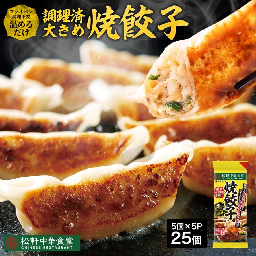 (メーカー希望小売価格2500円→2190円) 松軒中華食堂「餃子」5個×5パック 送料無料 レンジで完成 餃子 ぎょうざ ギョウザ 調理済 時短 保存食 お取り寄せ