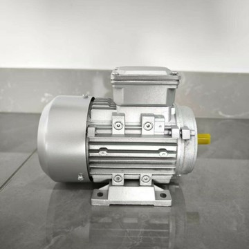 YE3三相異步電機380v交流電臥式電動機定制B3全銅馬達電機定做[DD1211001]