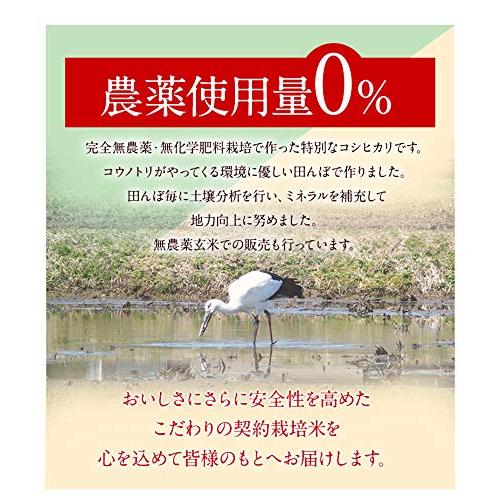 発芽玄米 無農薬（農薬・化学肥料不使用） コシヒカリ 2kg 令和5年産