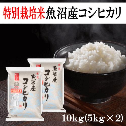 送料無料 令和５年産 特別栽培米魚沼産コシヒカリ 10kg(5kg×2) おこめ