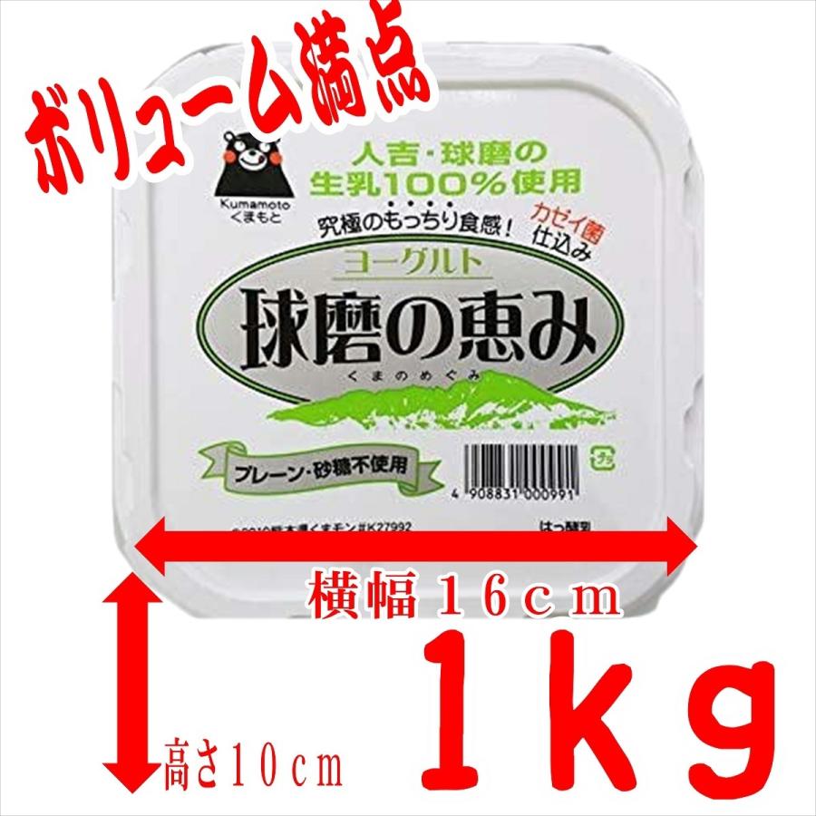 球磨酪農　球磨の恵ヨーグルト無糖　１ｋ×2個　送料無料　無糖ヨーグルト　人吉　人吉球磨　砂糖不使用