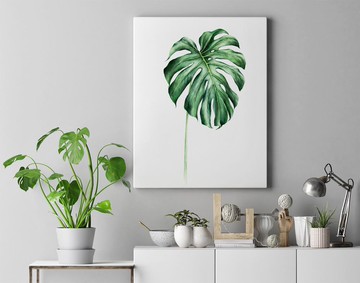 【龜背竹】限量版印製畫 | 文青綠植空間裝飾 | 北歐家居空間設計