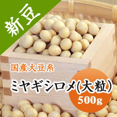 ミヤギシロメ大豆 宮城県産 大粒 令和４年産 500g