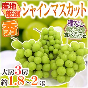 ”シャインマスカット” 秀品 大房限定 3房 約1.8kg～2kg 産地厳選 送料無料