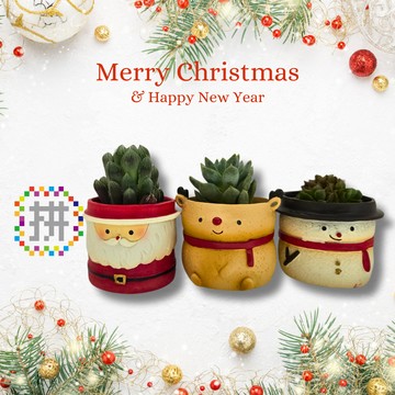 拼肉肉【肉肉玩具箱】-日本進口聖誕老人多肉植物盲盒X3＿每一種品項各1出貨（植物隨機出貨，三吋盆穩根）