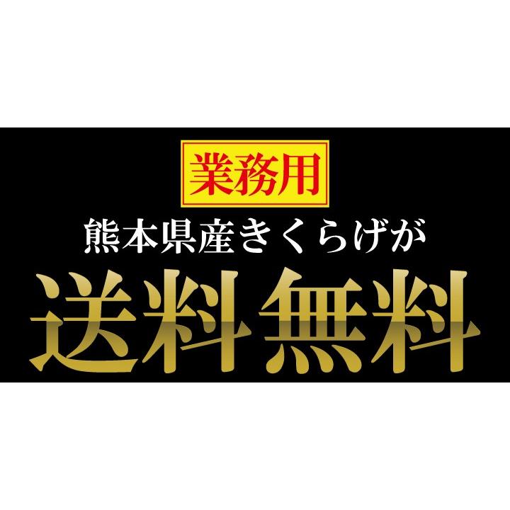 熊本県産きくらげ150ｇ　国産 送料無料 ビタミンD ダイエット 快便 無農薬 乾燥 約1ヶ月分