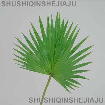 滿280元出貨 仿真花 假花 可開發票 高品質手感軟膠PVC葉子龜背葉葵葉家居裝飾插花擺件攝影道具