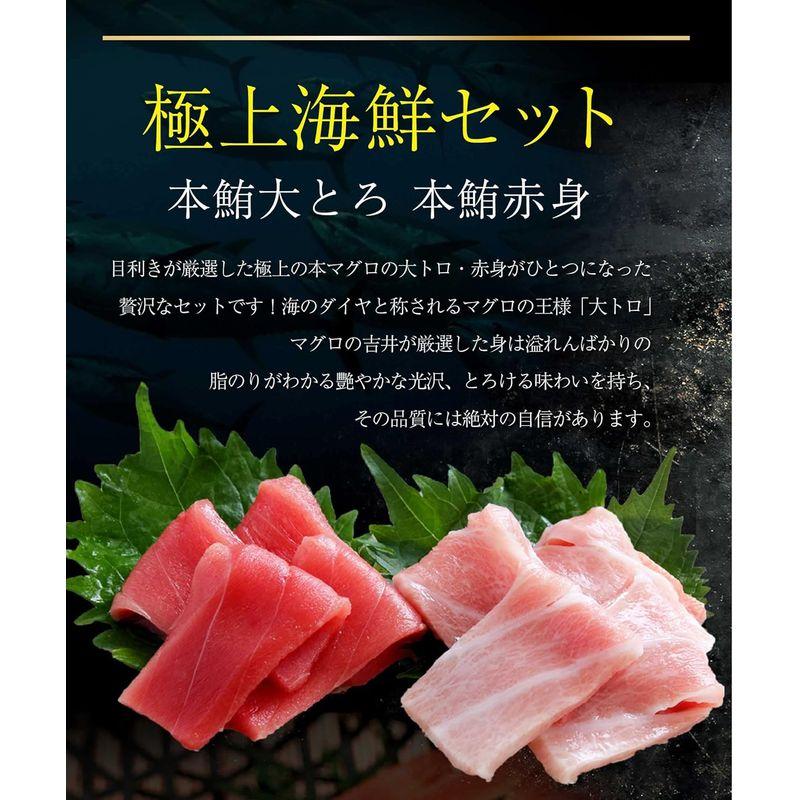 敬老の日 プレゼント 内祝 人気 海鮮 グルメ ギフト セット 海鮮丼 海鮮 セット 福袋 刺身 おつまみ 魚 鮪 まぐろ 本鮪 大トロ 赤