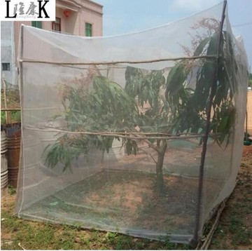 【可開發票】(）防鳥網 立體防蟲網罩 水果樹蔬菜大棚楊梅櫻桃藍莓蓮霧臍橙桃樹防鳥防風專用罩-