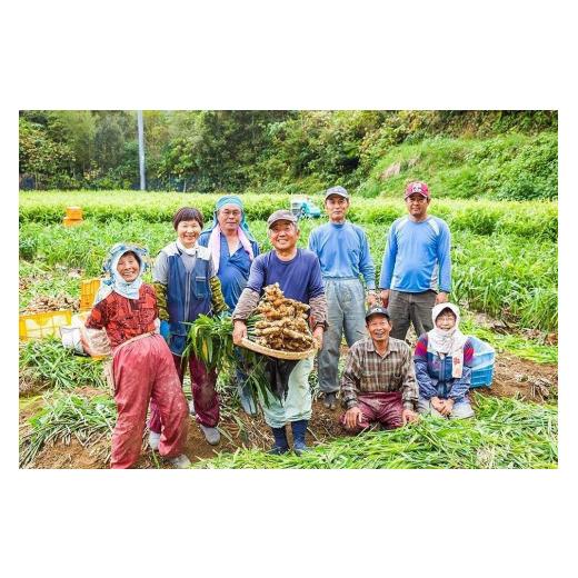 ふるさと納税 高知県 香美市 高知県産生姜2kg