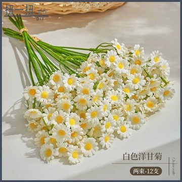 永生花🌸 【自然清新】ins風 洋甘菊 小雛菊 乾燥花 仿真花 客廳擺設 餐桌花 裝飾花束 拍照清新擺件