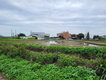 150中壢山東農地,青埔假日農夫(專約,案件穩定)｜桃園市中壢區山下段