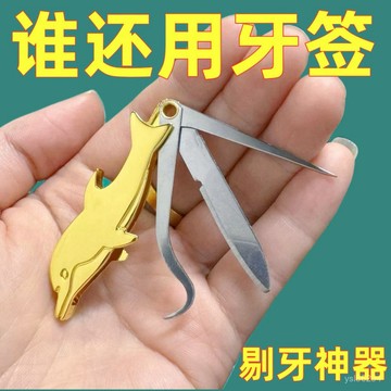 🔥臺灣出貨24H🔥便攜不銹鋼牙簽小刀剔牙神器牙鈎探針 家用口腔護理牙齒清潔工具hhfoof