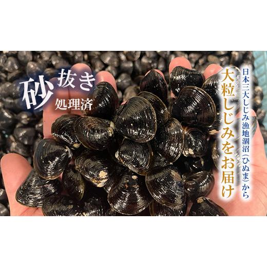 ふるさと納税 茨城県 大洗町 涸沼産 大粒 冷凍 シジミ 1.6kg （400ｇ×4袋） しじみ 蜆 大和しじみ ヤマトシジミ 大玉 砂抜き済 冷凍 味噌汁 スープ 魚貝類 貝…