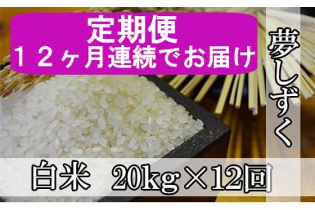 《12ヶ月毎月お届け》鹿島市産夢しずく　白米２０ｋｇ定期便 V-13