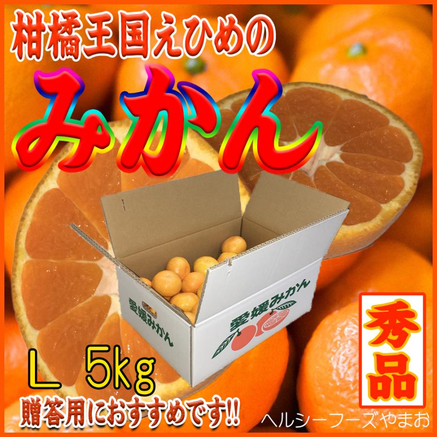 2023　お歳暮ギフト　みかん（愛媛産・瀬戸内・赤秀・Lサイズ）５ｋｇ入（ご贈答用に最適です）