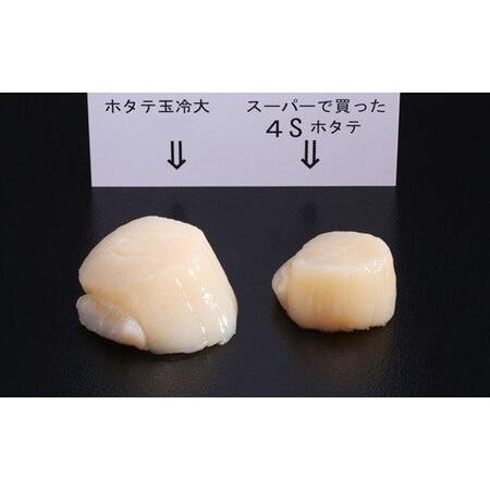 ふるさと納税 14-66 オホーツク産ホタテ玉冷大(1kg) 北海道紋別市