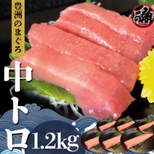 中とろ　1．2ｋｇ 特上  お刺身 トロ　 メバチ マグロ まぐろ 天然 国産