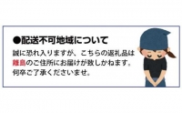 紀州有田産不知火(しらぬひ) 約8.5kg ※2024年2月上旬頃3月下旬頃に順次発送予定(お届け日指定不可)