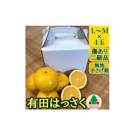 ふるさと納税 和歌山県 有田川町 有田 はっさく L または M 4玉入 ちょっと 傷あり 手さげ箱  南泰園