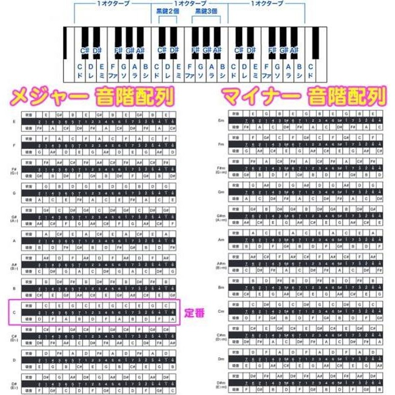 スズキ(Suzuki) SUZUKI スズキ 21穴複音ハーモニカ スズキ 高級