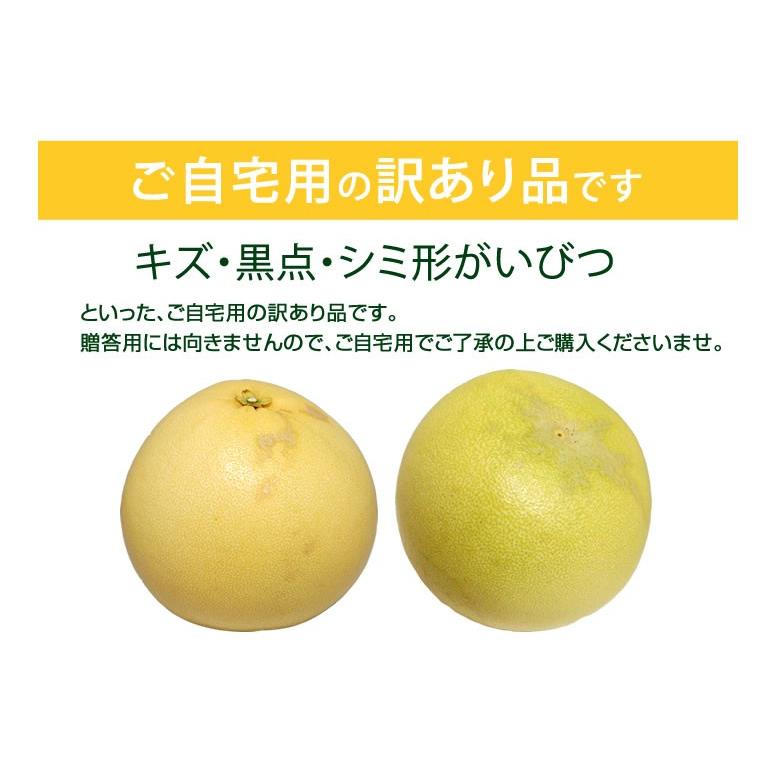 晩白柚 みかん ばんぺいゆ 訳あり 送料無料 約3kg〜4kg 2玉入 M〜2Lサイズ 世界最大級の柑橘 熊本県八代産 蜜柑 ミカン