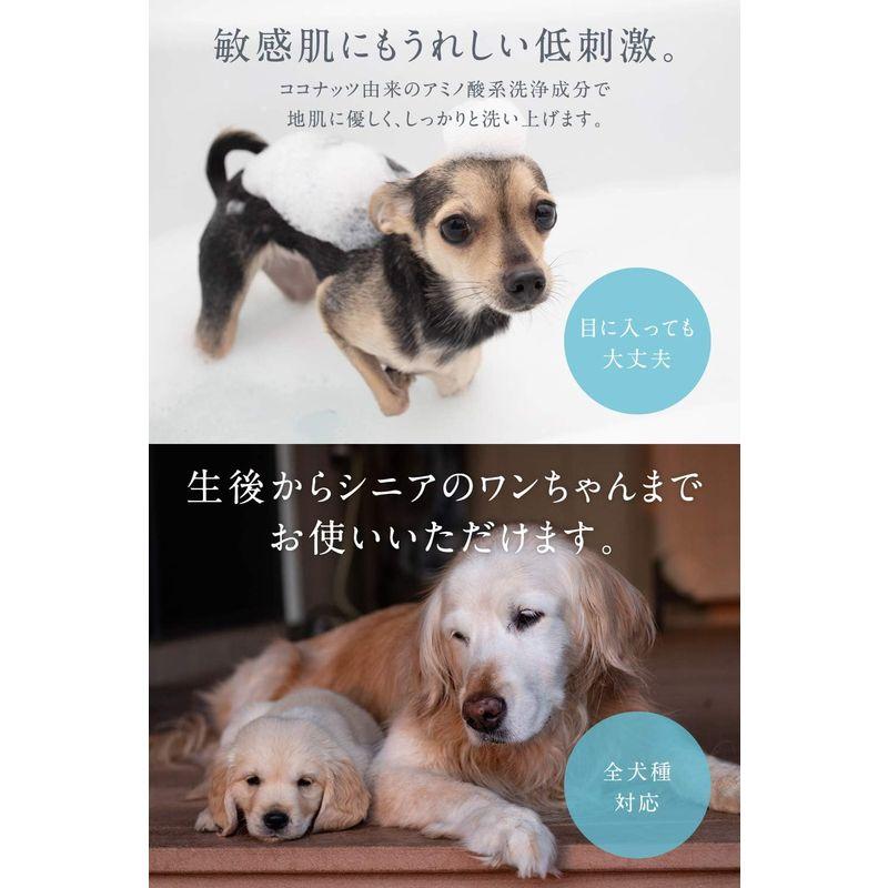 イヌコス クレイクレンジングシャンプー  300g 犬用  inucos  ラベンダー 低刺激 泥 クレイ マッド  日本製 送料無料 クーインターナショナル